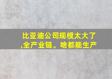 比亚迪公司规模太大了,全产业链。啥都能生产