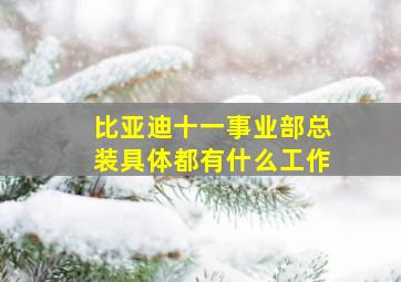 比亚迪十一事业部总装具体都有什么工作