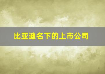 比亚迪名下的上市公司