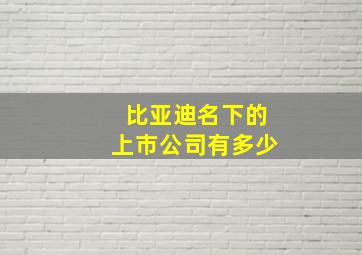 比亚迪名下的上市公司有多少