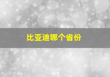 比亚迪哪个省份