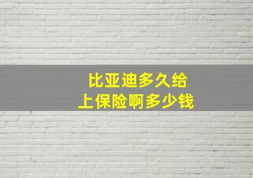 比亚迪多久给上保险啊多少钱