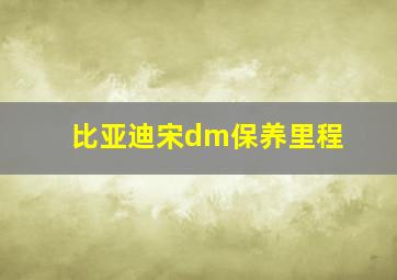 比亚迪宋dm保养里程