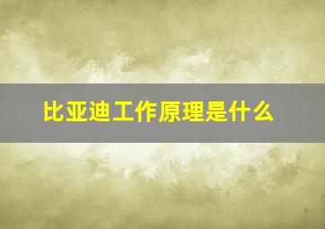 比亚迪工作原理是什么