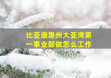 比亚迪惠州大亚湾第一事业部做怎么工作