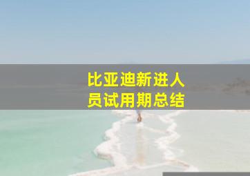 比亚迪新进人员试用期总结