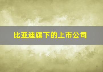 比亚迪旗下的上市公司