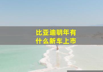 比亚迪明年有什么新车上市