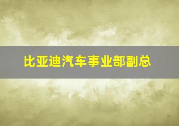 比亚迪汽车事业部副总