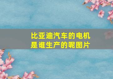 比亚迪汽车的电机是谁生产的呢图片