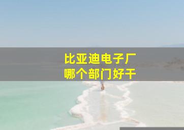 比亚迪电子厂哪个部门好干