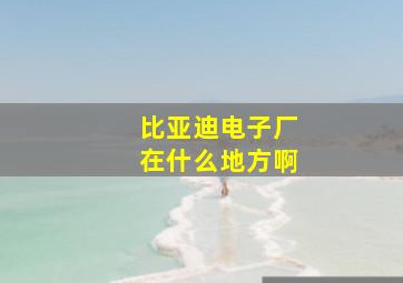 比亚迪电子厂在什么地方啊