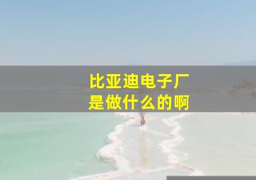 比亚迪电子厂是做什么的啊