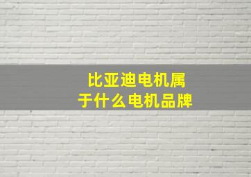 比亚迪电机属于什么电机品牌