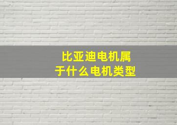 比亚迪电机属于什么电机类型