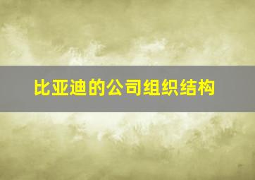 比亚迪的公司组织结构