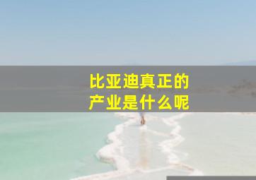 比亚迪真正的产业是什么呢