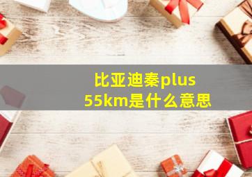 比亚迪秦plus55km是什么意思