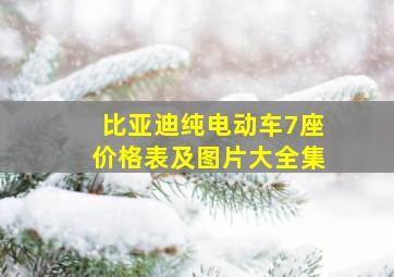 比亚迪纯电动车7座价格表及图片大全集