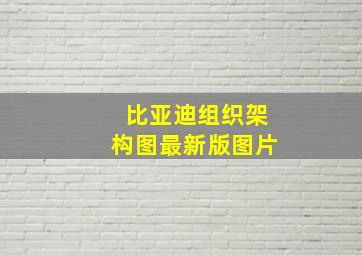 比亚迪组织架构图最新版图片