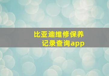 比亚迪维修保养记录查询app