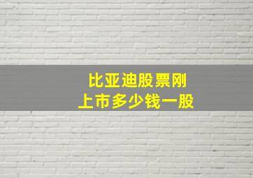 比亚迪股票刚上市多少钱一股