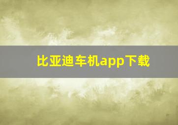 比亚迪车机app下载