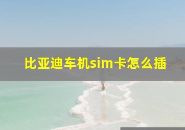 比亚迪车机sim卡怎么插