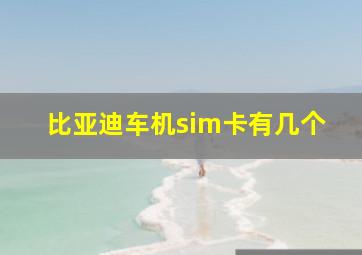 比亚迪车机sim卡有几个