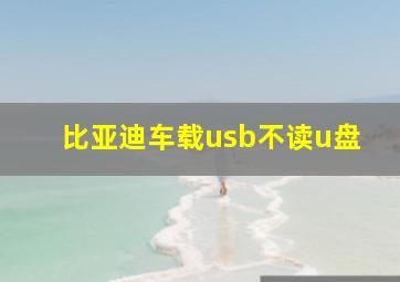 比亚迪车载usb不读u盘