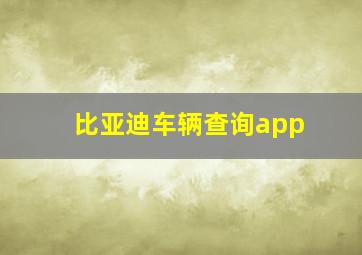 比亚迪车辆查询app