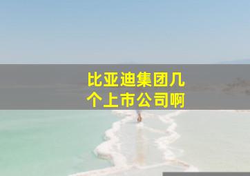 比亚迪集团几个上市公司啊