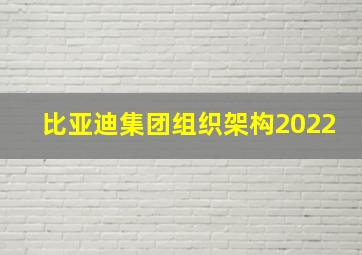 比亚迪集团组织架构2022