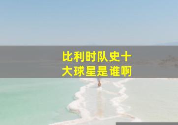 比利时队史十大球星是谁啊