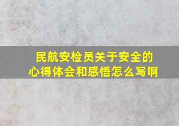 民航安检员关于安全的心得体会和感悟怎么写啊