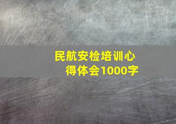 民航安检培训心得体会1000字