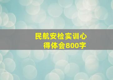 民航安检实训心得体会800字