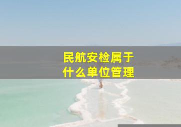 民航安检属于什么单位管理