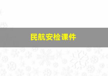 民航安检课件