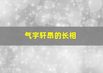 气宇轩昂的长相