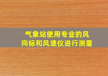 气象站使用专业的风向标和风速仪进行测量