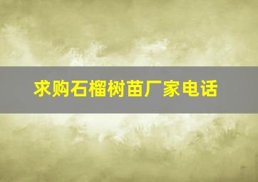 求购石榴树苗厂家电话