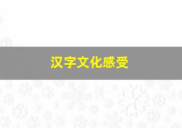 汉字文化感受