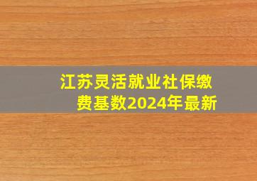 江苏灵活就业社保缴费基数2024年最新