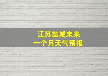 江苏盐城未来一个月天气预报