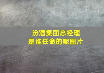 汾酒集团总经理是谁任命的呢图片