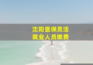 沈阳医保灵活就业人员缴费