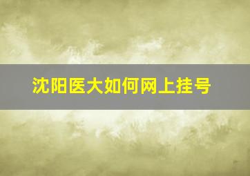 沈阳医大如何网上挂号