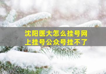 沈阳医大怎么挂号网上挂号公众号挂不了