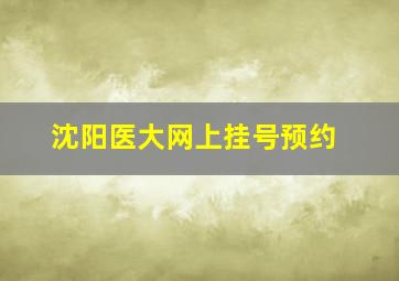 沈阳医大网上挂号预约